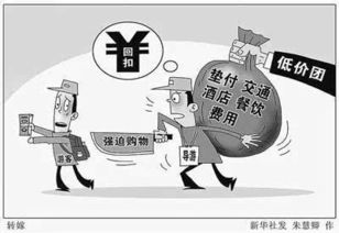 國(guó)家開展導(dǎo)游自由執(zhí)業(yè)后，導(dǎo)游服務(wù)的未來變革與影響
