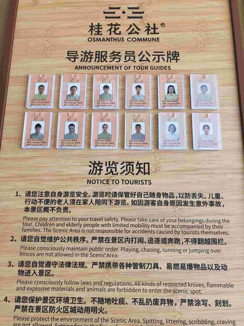 導(dǎo)游服務(wù) 旅行體驗(yàn)的靈魂與橋梁
